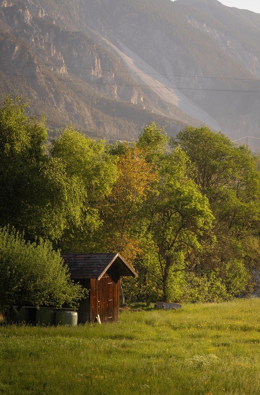 A natural photo of hut, meadow, nature, field, forest, trees showing best landscape photography